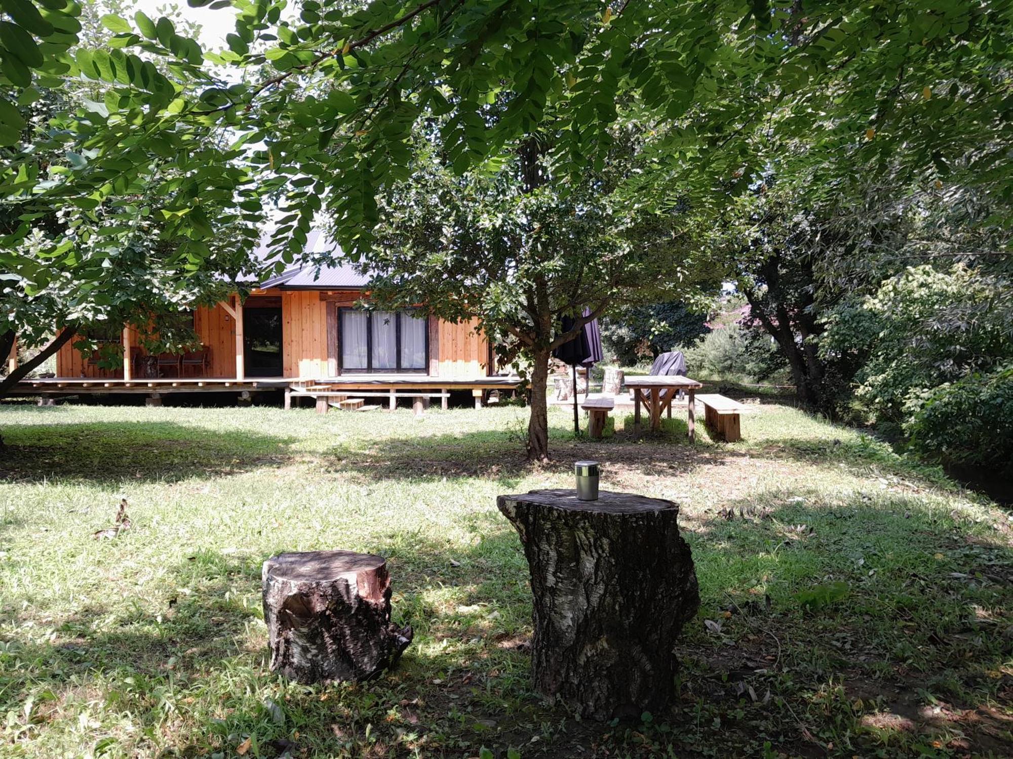 Вилла Nica Wood Sremska Kamenica Экстерьер фото